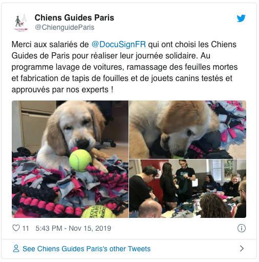 Global Impact Day 2019 - Chiens guides de Paris